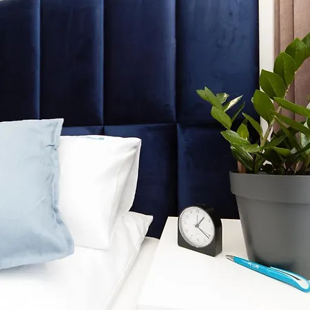 Dream Team Industria